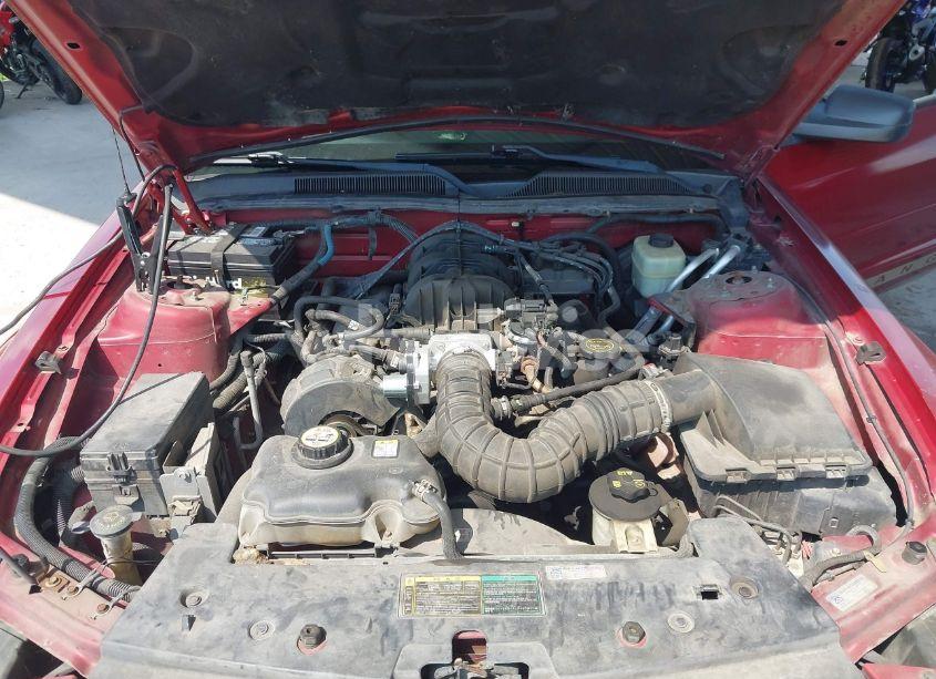 Photo 10 of 2005 Ford Mustang V6 DELUXE/V6 PREMIUM (VIN 1ZVFT80N455170297)