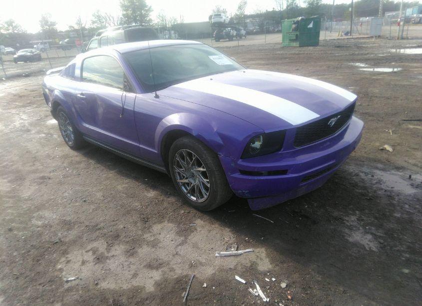 2005 Ford Mustang V6 DELUXE/V6 PREMIUM (VIN 1ZVFT80N455183082) main photo