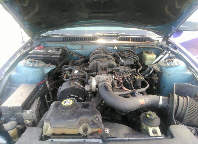 Photo 10 of 2005 Ford Mustang V6 DELUXE/V6 PREMIUM (VIN 1ZVFT80N455183082)