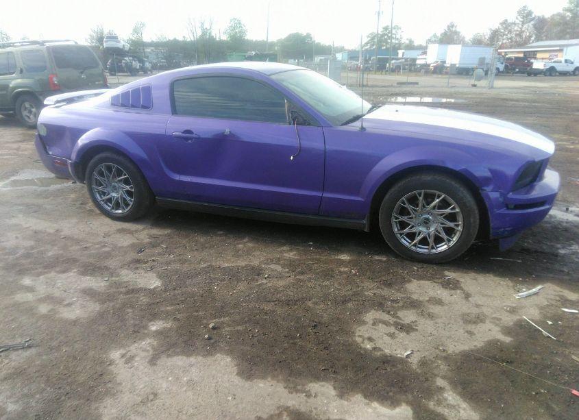 Photo 6 of 2005 Ford Mustang V6 DELUXE/V6 PREMIUM (VIN 1ZVFT80N455183082)