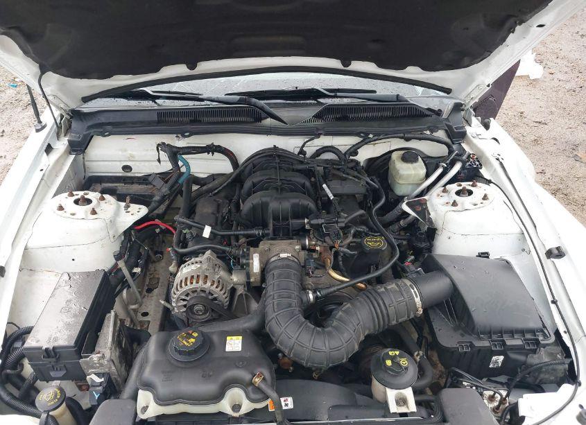 Photo 10 of 2005 Ford Mustang V6 DELUXE/V6 PREMIUM (VIN 1ZVFT80N455212502)