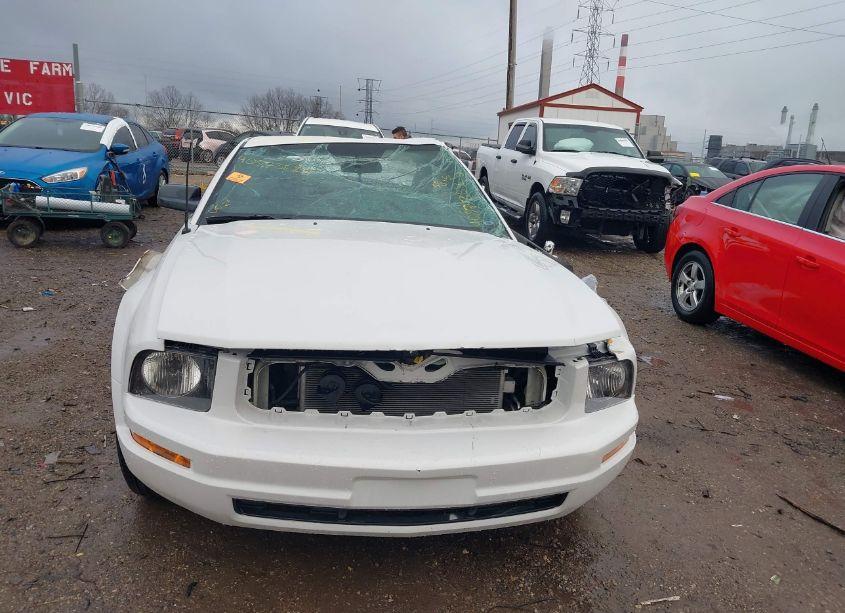 Photo 13 of 2005 Ford Mustang V6 DELUXE/V6 PREMIUM (VIN 1ZVFT80N455212502)