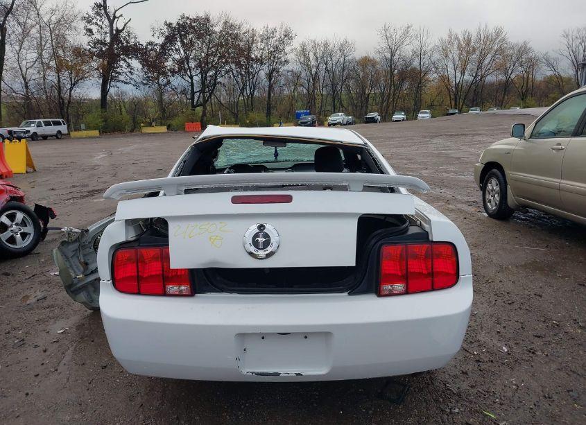 Photo 17 of 2005 Ford Mustang V6 DELUXE/V6 PREMIUM (VIN 1ZVFT80N455212502)