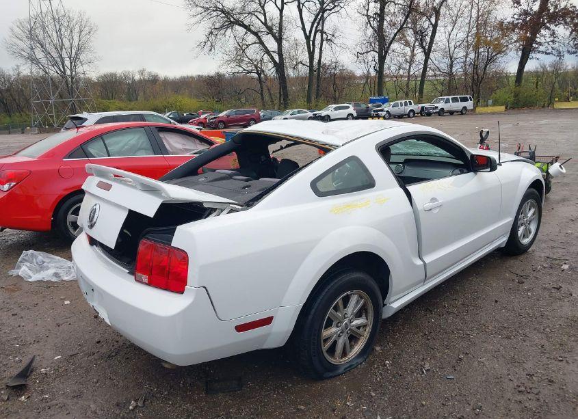 Photo 4 of 2005 Ford Mustang V6 DELUXE/V6 PREMIUM (VIN 1ZVFT80N455212502)