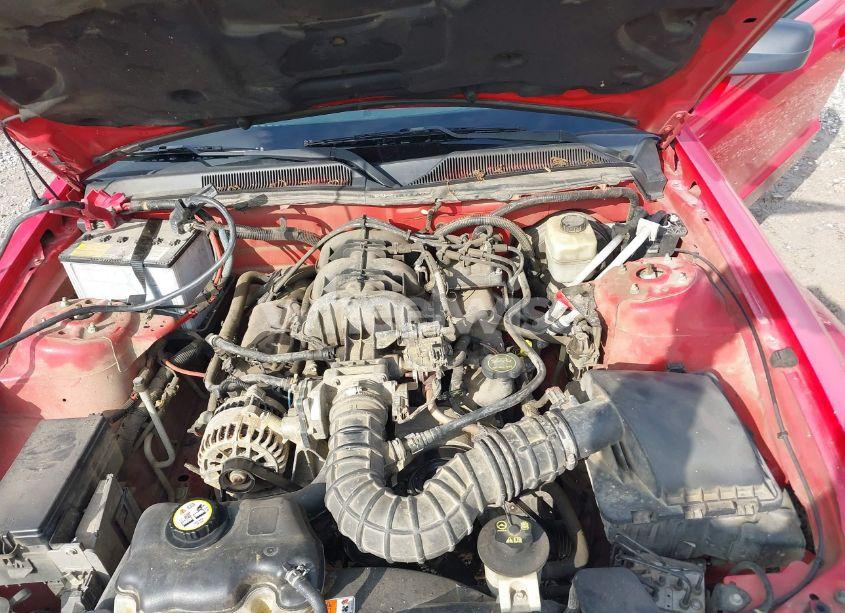 Photo 10 of 2006 Ford Mustang V6 (VIN 1ZVFT80N465128049)