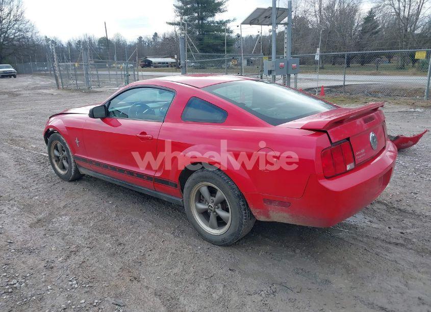 Photo 3 of 2006 Ford Mustang V6 (VIN 1ZVFT80N465128049)