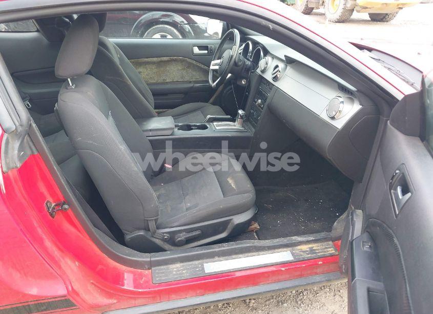 Photo 5 of 2006 Ford Mustang V6 (VIN 1ZVFT80N465128049)