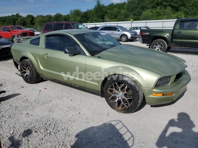 2006 FORD MUSTANG (VIN 1ZVFT80N465131758) main photo