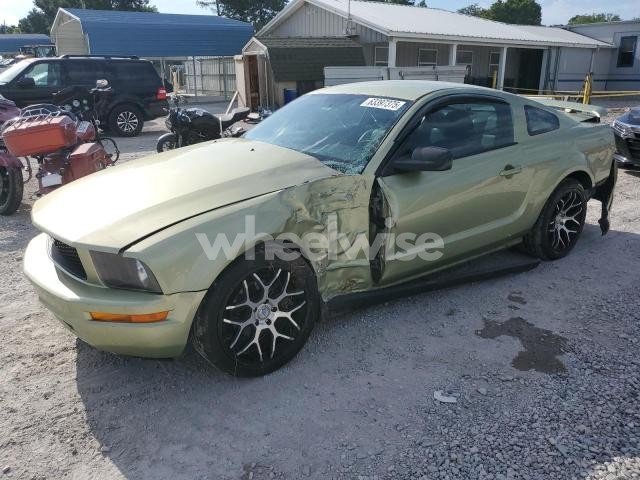 Photo 12 of 2006 FORD MUSTANG (VIN 1ZVFT80N465131758)