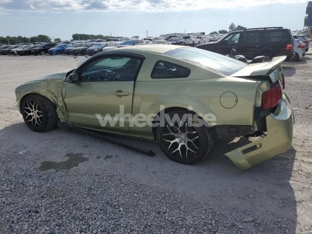 Photo 13 of 2006 FORD MUSTANG (VIN 1ZVFT80N465131758)