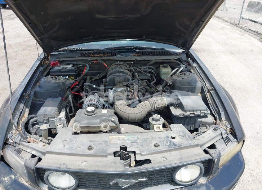 Photo 10 of 2006 Ford Mustang V6 (VIN 1ZVFT80N465145112)