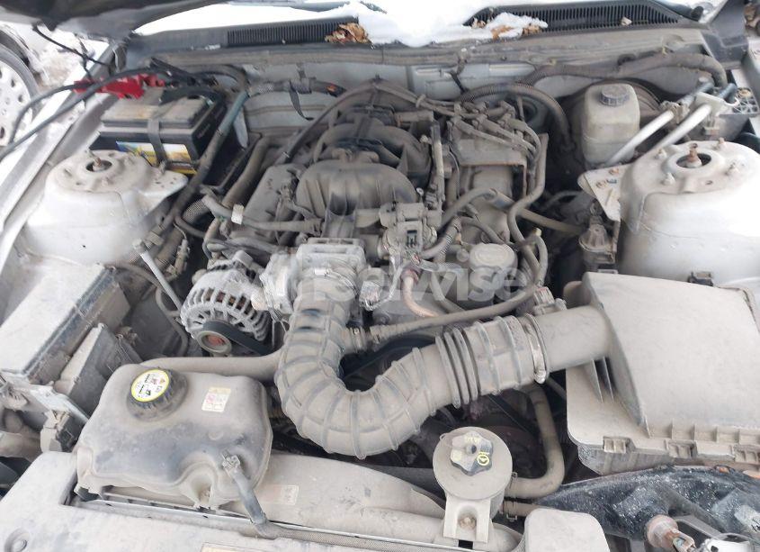 Photo 10 of 2006 Ford Mustang V6 (VIN 1ZVFT80N465145482)