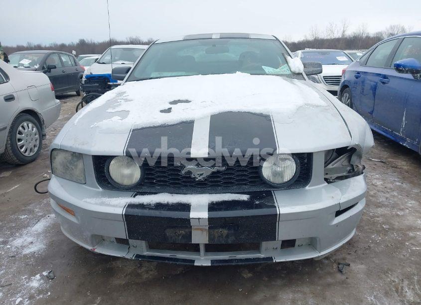 Photo 12 of 2006 Ford Mustang V6 (VIN 1ZVFT80N465145482)