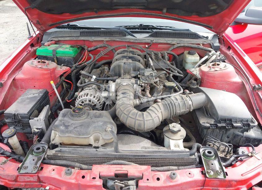 Photo 10 of 2006 Ford Mustang V6 (VIN 1ZVFT80N465155011)