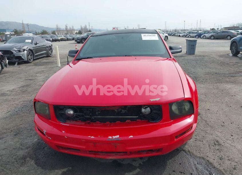 Photo 13 of 2006 Ford Mustang V6 (VIN 1ZVFT80N465155011)