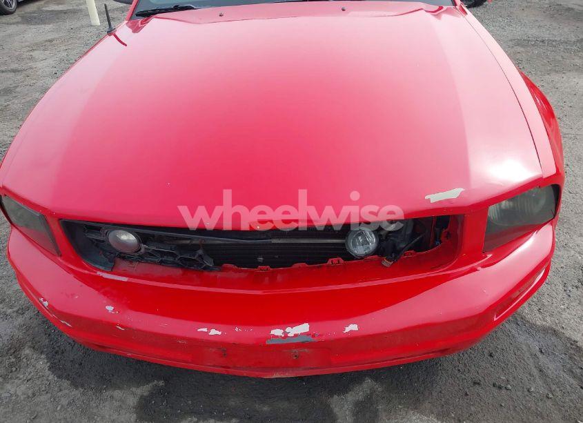 Photo 6 of 2006 Ford Mustang V6 (VIN 1ZVFT80N465155011)