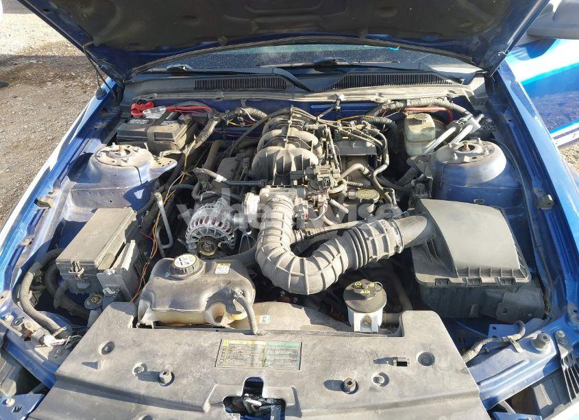 Photo 10 of 2006 Ford Mustang V6 (VIN 1ZVFT80N465175808)