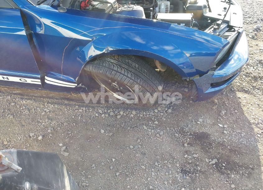 Photo 6 of 2006 Ford Mustang V6 (VIN 1ZVFT80N465175808)