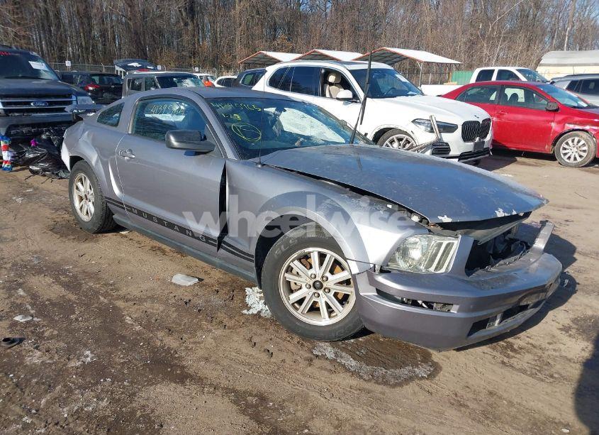 2006 Ford Mustang V6 (VIN 1ZVFT80N465240611) main photo