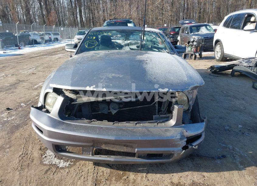 Photo 12 of 2006 Ford Mustang V6 (VIN 1ZVFT80N465240611)
