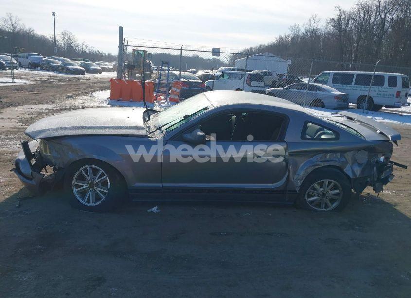 Photo 14 of 2006 Ford Mustang V6 (VIN 1ZVFT80N465240611)