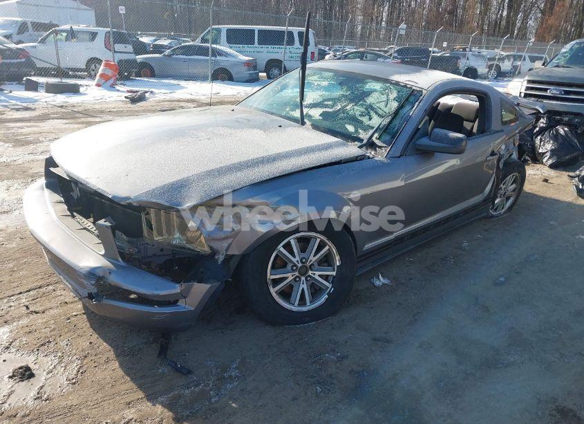 Photo 2 of 2006 Ford Mustang V6 (VIN 1ZVFT80N465240611)