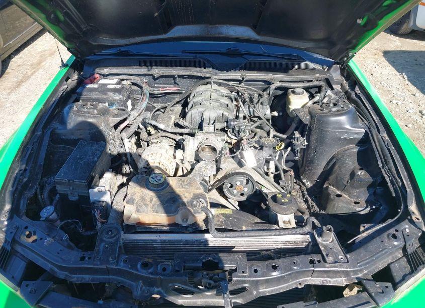 Photo 10 of 2006 Ford Mustang V6 (VIN 1ZVFT80N465263113)