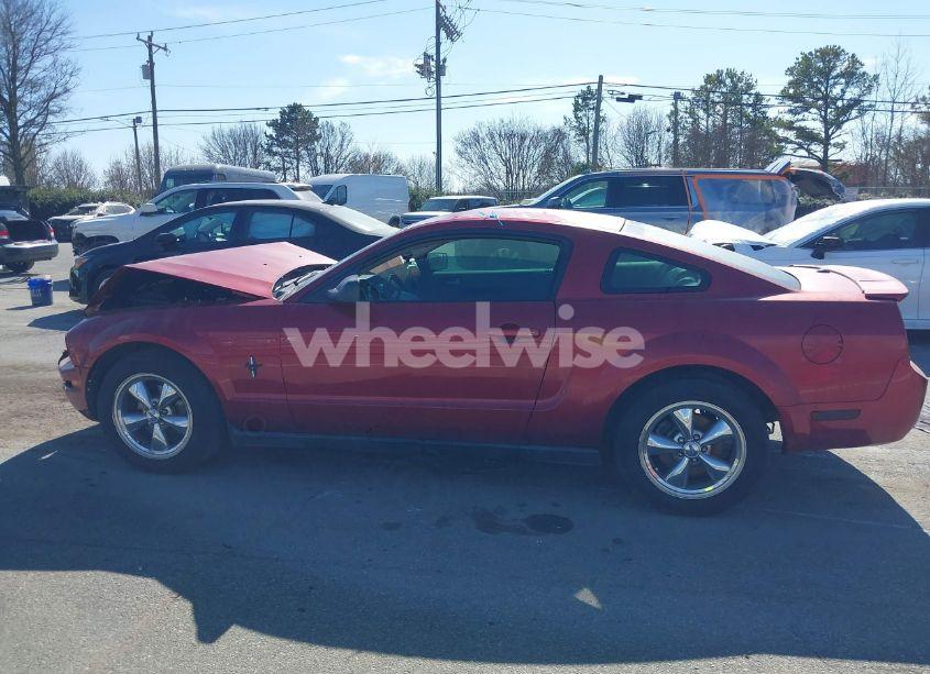 Photo 14 of 2007 Ford Mustang V6 DELUXE/V6 PREMIUM (VIN 1ZVFT80N475224197)