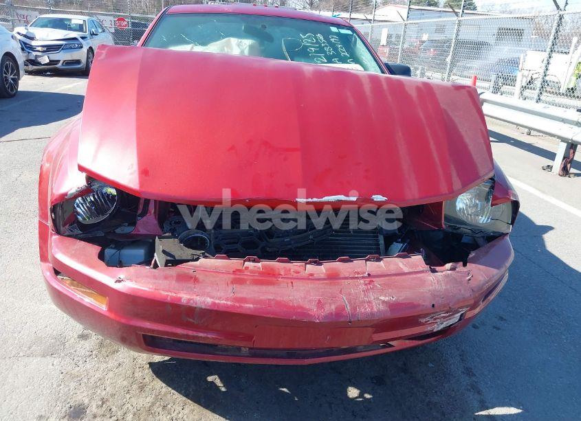 Photo 6 of 2007 Ford Mustang V6 DELUXE/V6 PREMIUM (VIN 1ZVFT80N475224197)