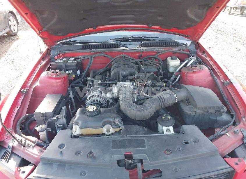 Photo 10 of 2007 Ford Mustang V6 DELUXE/V6 PREMIUM (VIN 1ZVFT80N475349250)