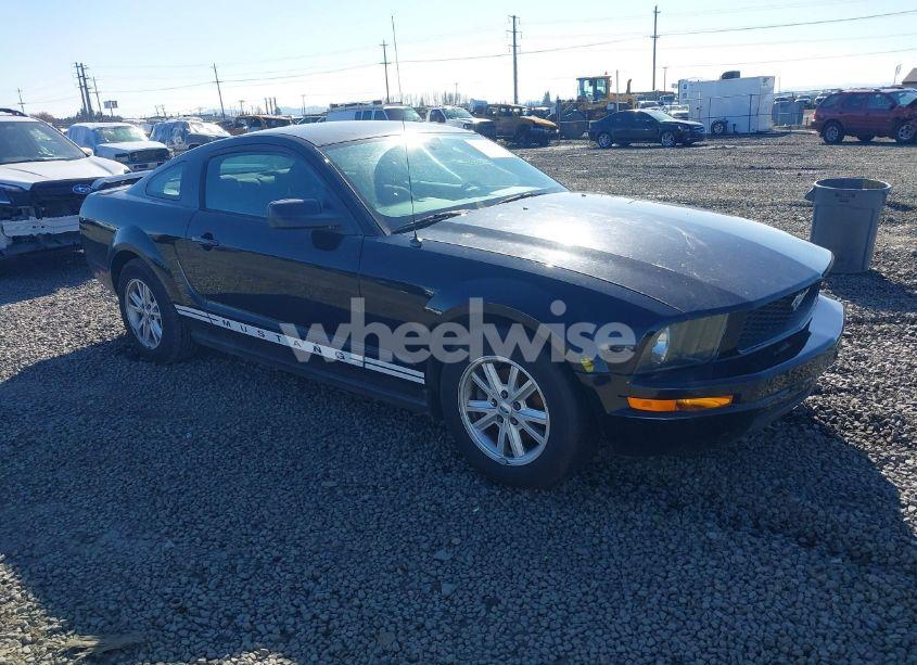 2005 Ford Mustang V6 DELUXE/V6 PREMIUM (VIN 1ZVFT80N555128494) main photo