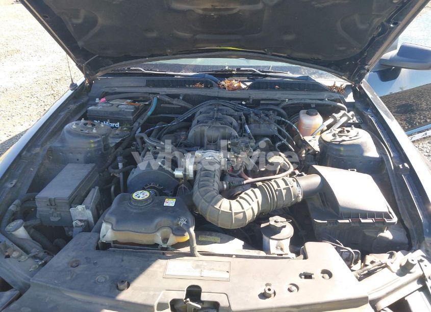 Photo 10 of 2005 Ford Mustang V6 DELUXE/V6 PREMIUM (VIN 1ZVFT80N555128494)
