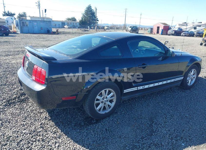 Photo 4 of 2005 Ford Mustang V6 DELUXE/V6 PREMIUM (VIN 1ZVFT80N555128494)