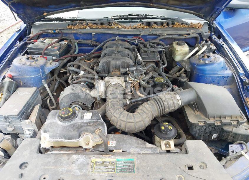 Photo 10 of 2005 Ford Mustang V6 DELUXE/V6 PREMIUM (VIN 1ZVFT80N555143979)