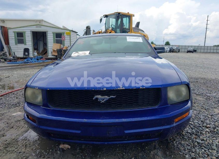 Photo 6 of 2005 Ford Mustang V6 DELUXE/V6 PREMIUM (VIN 1ZVFT80N555143979)