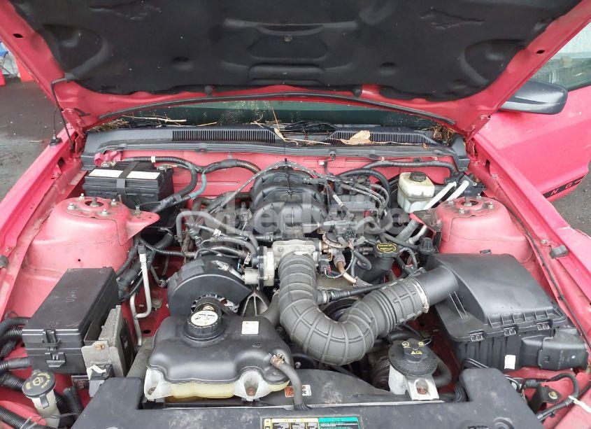 Photo 10 of 2005 Ford Mustang V6 DELUXE/V6 PREMIUM (VIN 1ZVFT80N555144307)