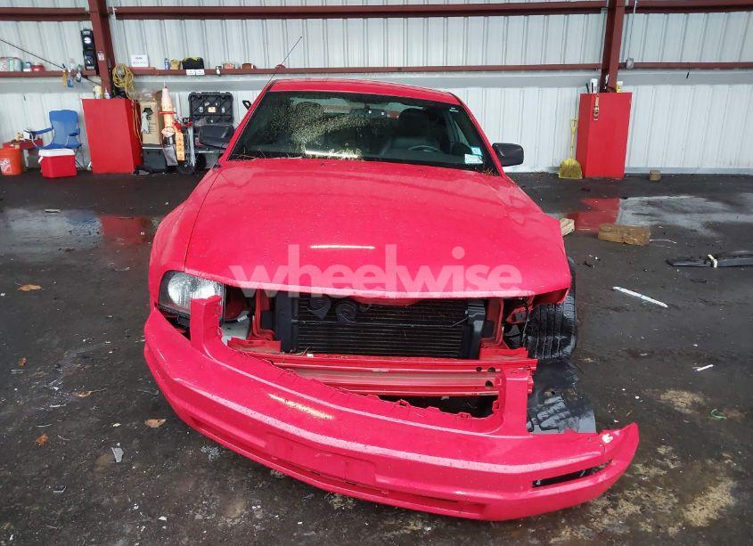 Photo 13 of 2005 Ford Mustang V6 DELUXE/V6 PREMIUM (VIN 1ZVFT80N555144307)