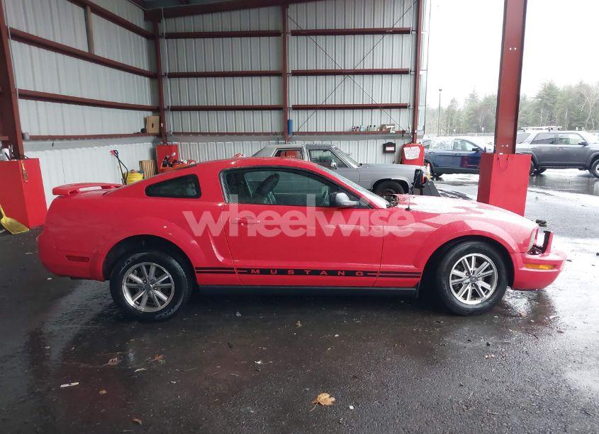 Photo 14 of 2005 Ford Mustang V6 DELUXE/V6 PREMIUM (VIN 1ZVFT80N555144307)