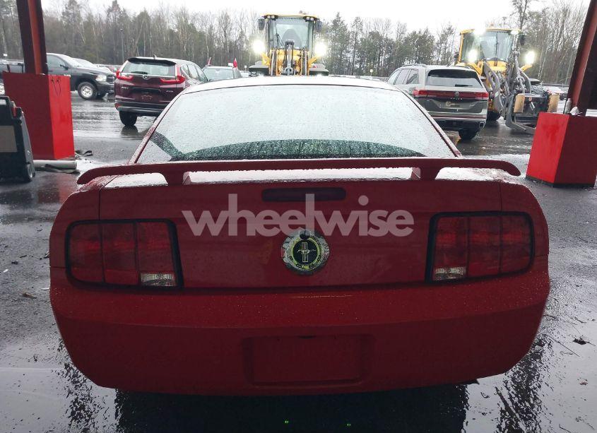 Photo 17 of 2005 Ford Mustang V6 DELUXE/V6 PREMIUM (VIN 1ZVFT80N555144307)