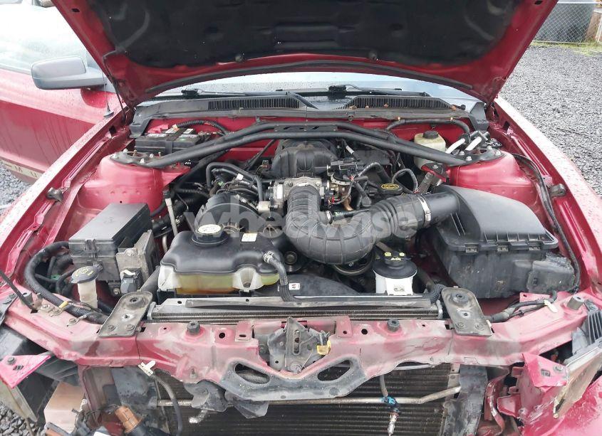 Photo 10 of 2005 Ford Mustang V6 DELUXE/V6 PREMIUM (VIN 1ZVFT80N555170812)