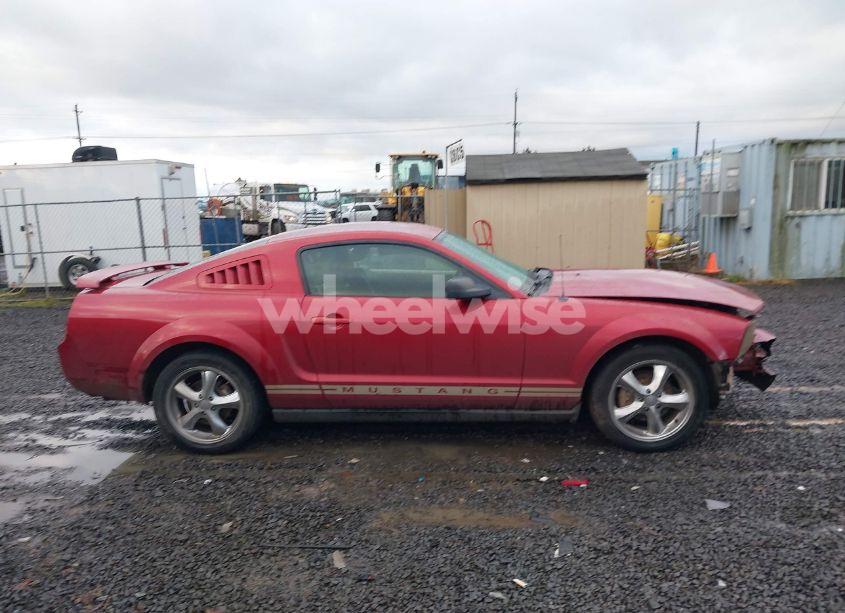 Photo 14 of 2005 Ford Mustang V6 DELUXE/V6 PREMIUM (VIN 1ZVFT80N555170812)
