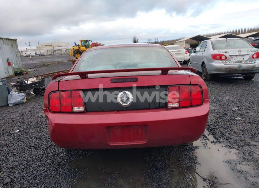 Photo 17 of 2005 Ford Mustang V6 DELUXE/V6 PREMIUM (VIN 1ZVFT80N555170812)