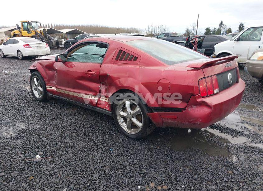 Photo 3 of 2005 Ford Mustang V6 DELUXE/V6 PREMIUM (VIN 1ZVFT80N555170812)