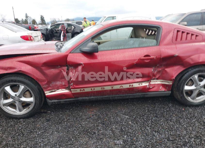 Photo 6 of 2005 Ford Mustang V6 DELUXE/V6 PREMIUM (VIN 1ZVFT80N555170812)