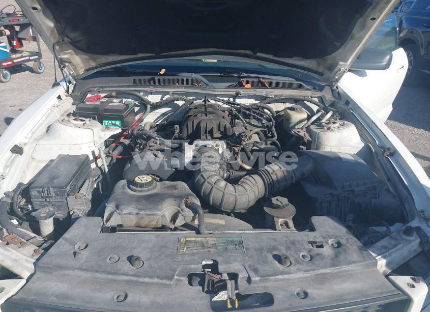 Photo 10 of 2005 Ford Mustang V6 DELUXE/V6 PREMIUM (VIN 1ZVFT80N555197525)