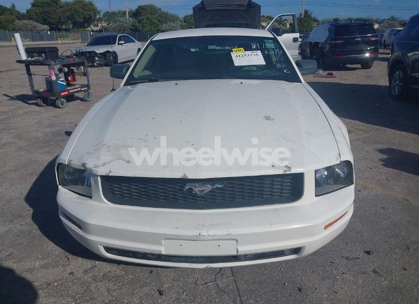 Photo 12 of 2005 Ford Mustang V6 DELUXE/V6 PREMIUM (VIN 1ZVFT80N555197525)