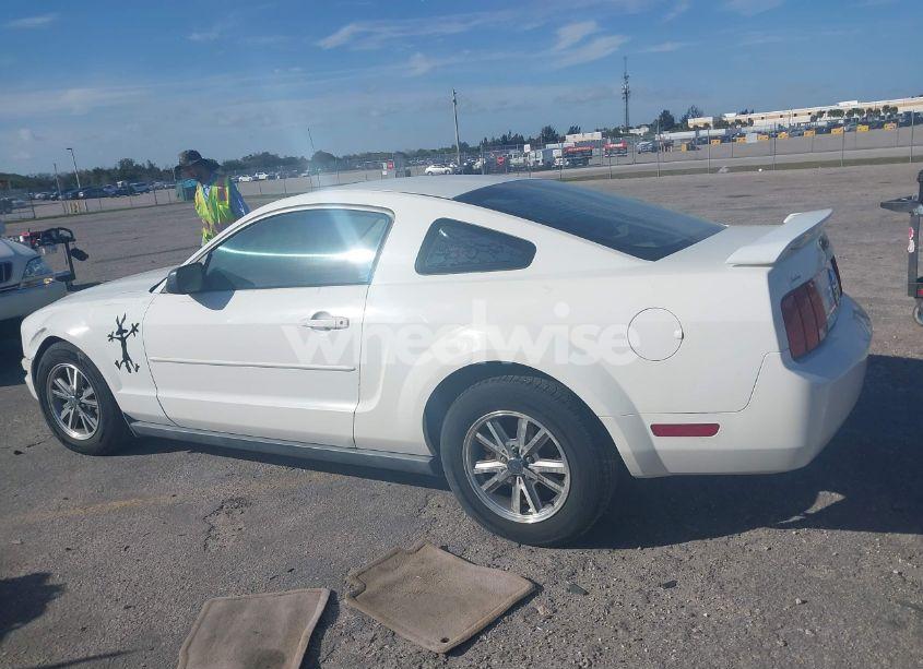 Photo 14 of 2005 Ford Mustang V6 DELUXE/V6 PREMIUM (VIN 1ZVFT80N555197525)