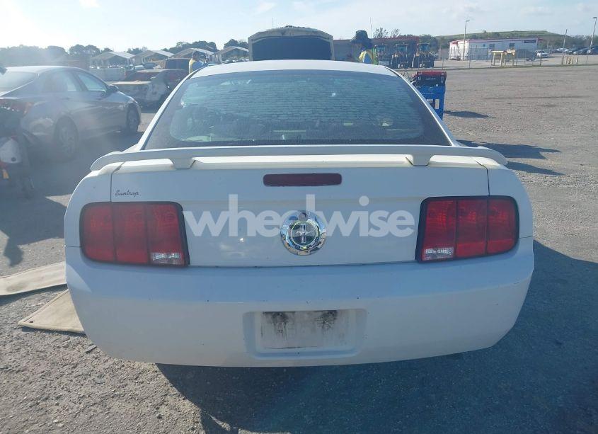 Photo 16 of 2005 Ford Mustang V6 DELUXE/V6 PREMIUM (VIN 1ZVFT80N555197525)