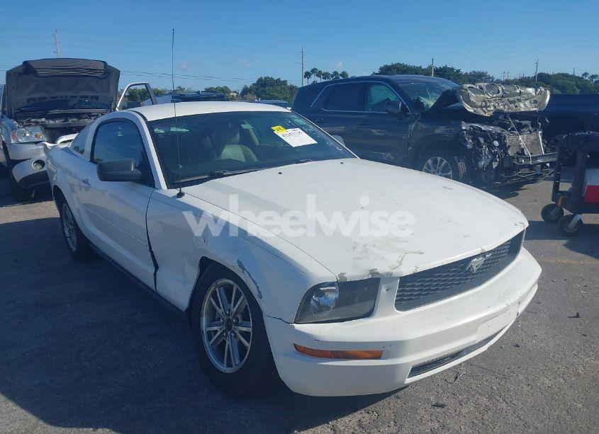 Photo 6 of 2005 Ford Mustang V6 DELUXE/V6 PREMIUM (VIN 1ZVFT80N555197525)