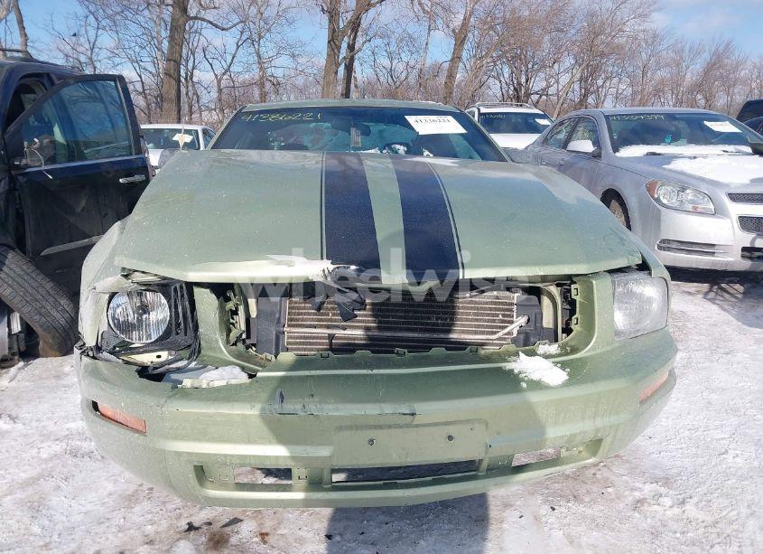 Photo 13 of 2006 Ford Mustang V6 (VIN 1ZVFT80N565125774)